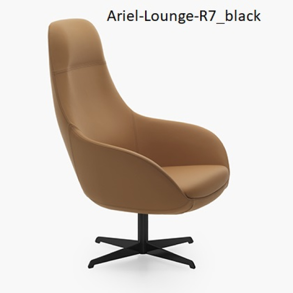 Ariel Lounge