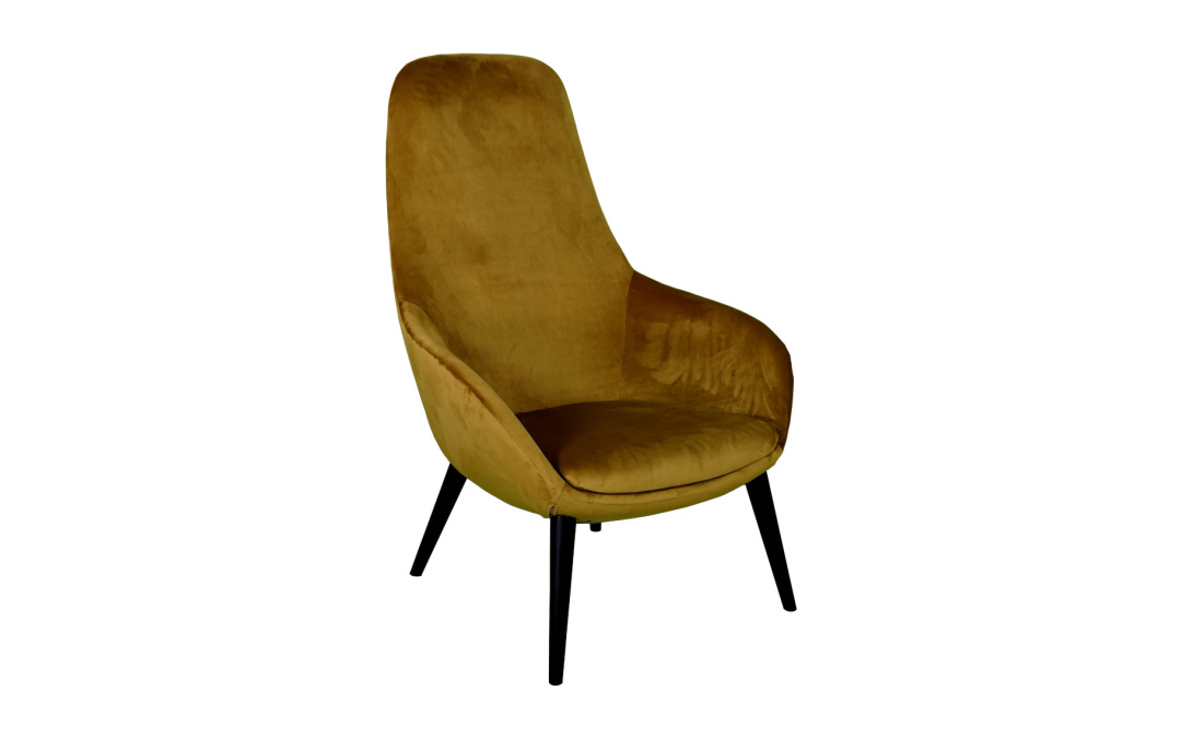 Armchair Ariel Lounge