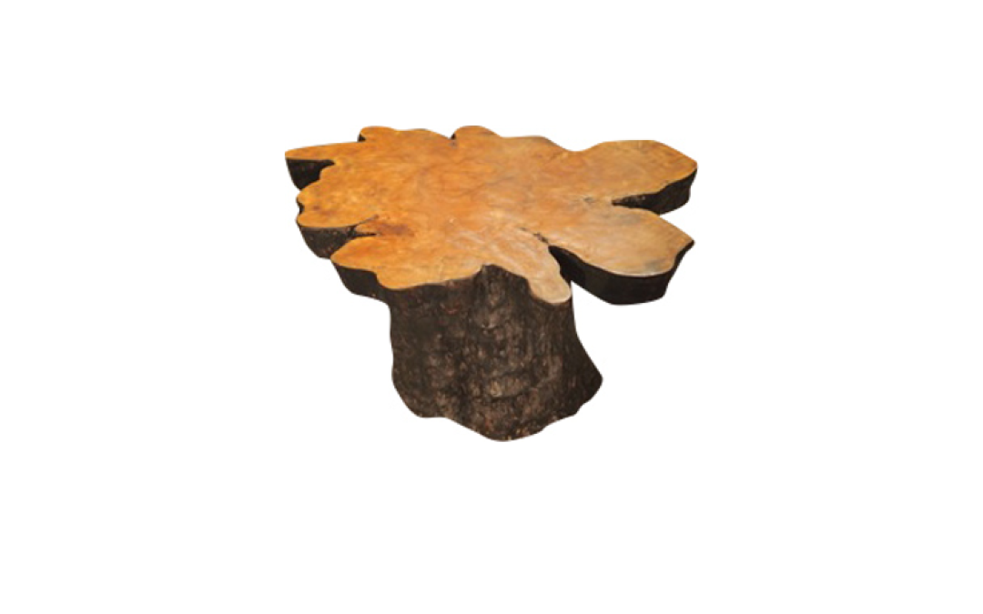 Table Fungo